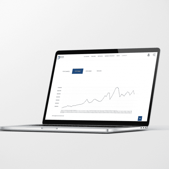 sito web
