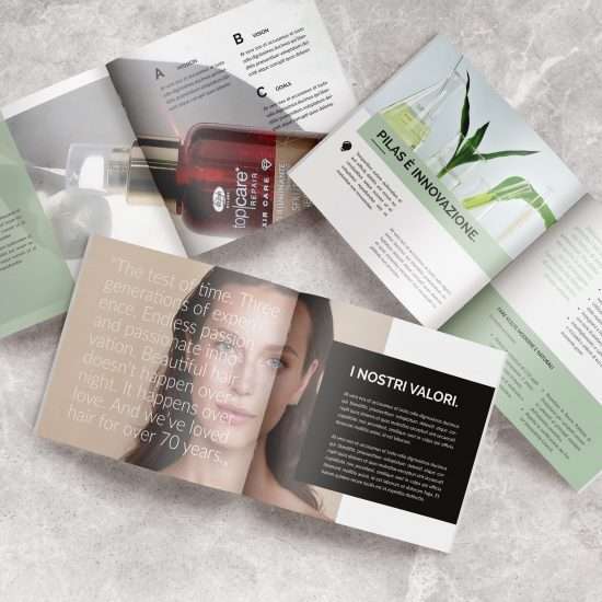 lisap brochure